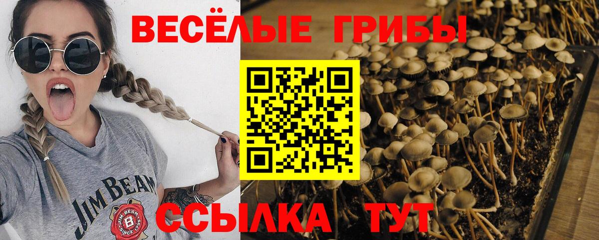 Галлюциногенные грибы мухоморы  Галлюциногенные грибы мухоморы  Вход с VPN  дарнет шоп  Тамбов 