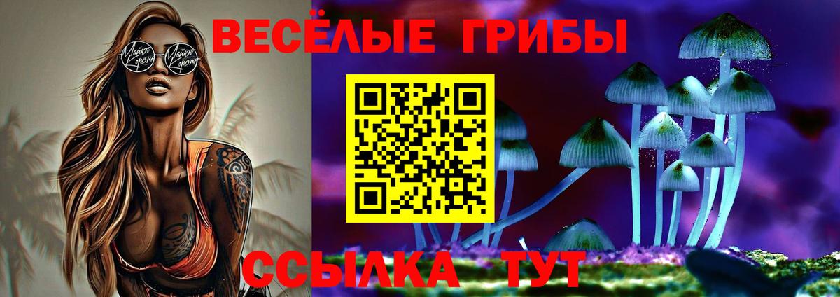 Псилоцибиновые грибы ЛСД Тамбов
